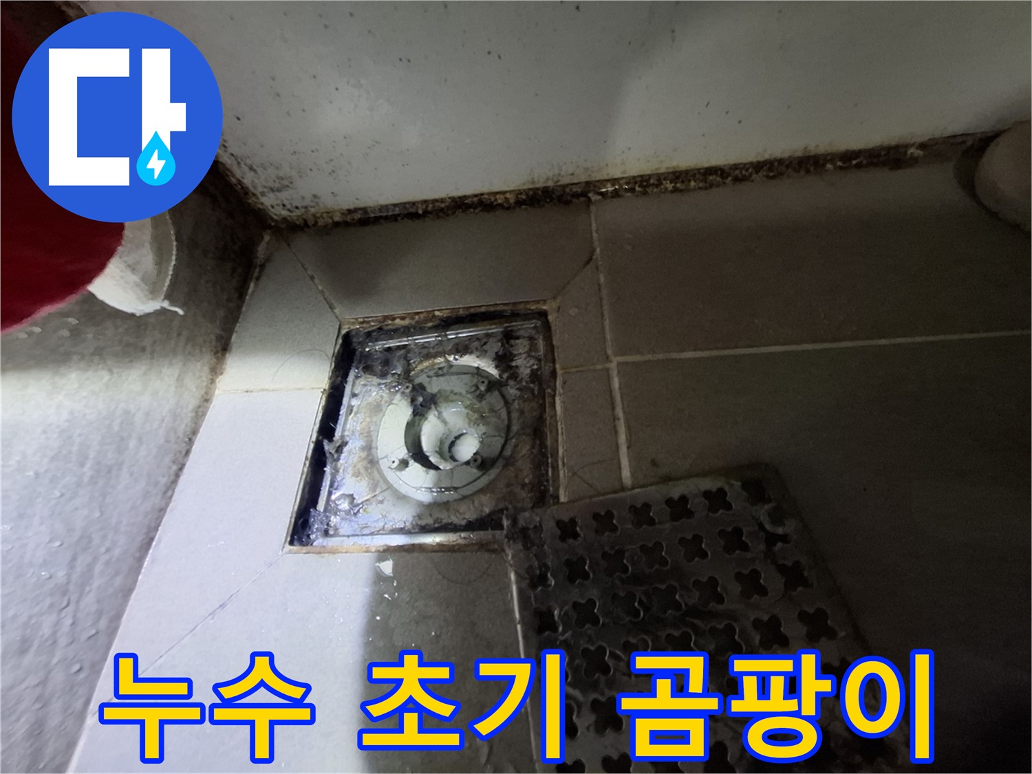 봇들마을2단지 욕실 - 곰팡이는 누수 초기 신호일 수 있습니다