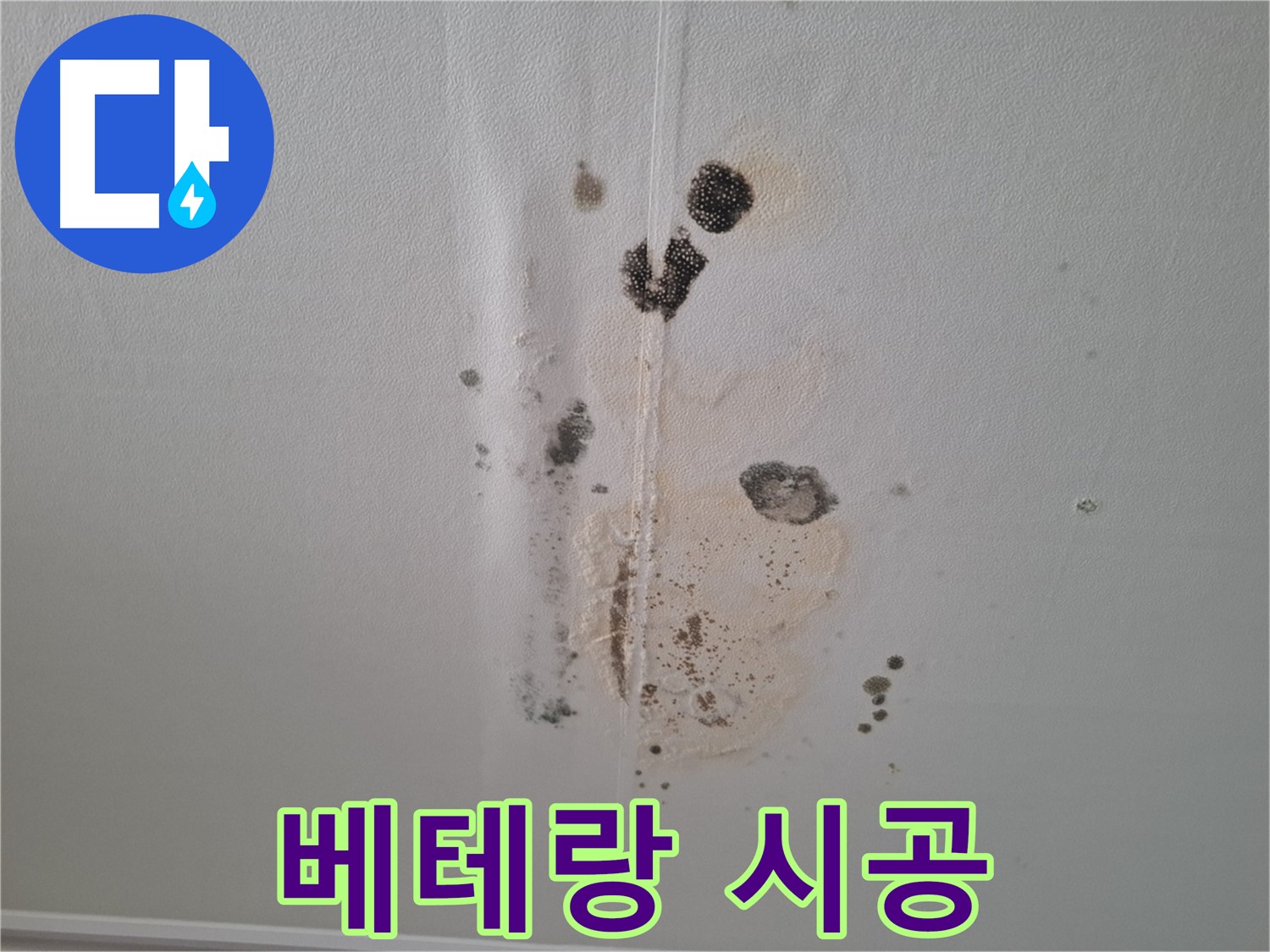 분당 누수 - 베테랑 기술자의 확실한 시공으로 곰팡이 문제 해결