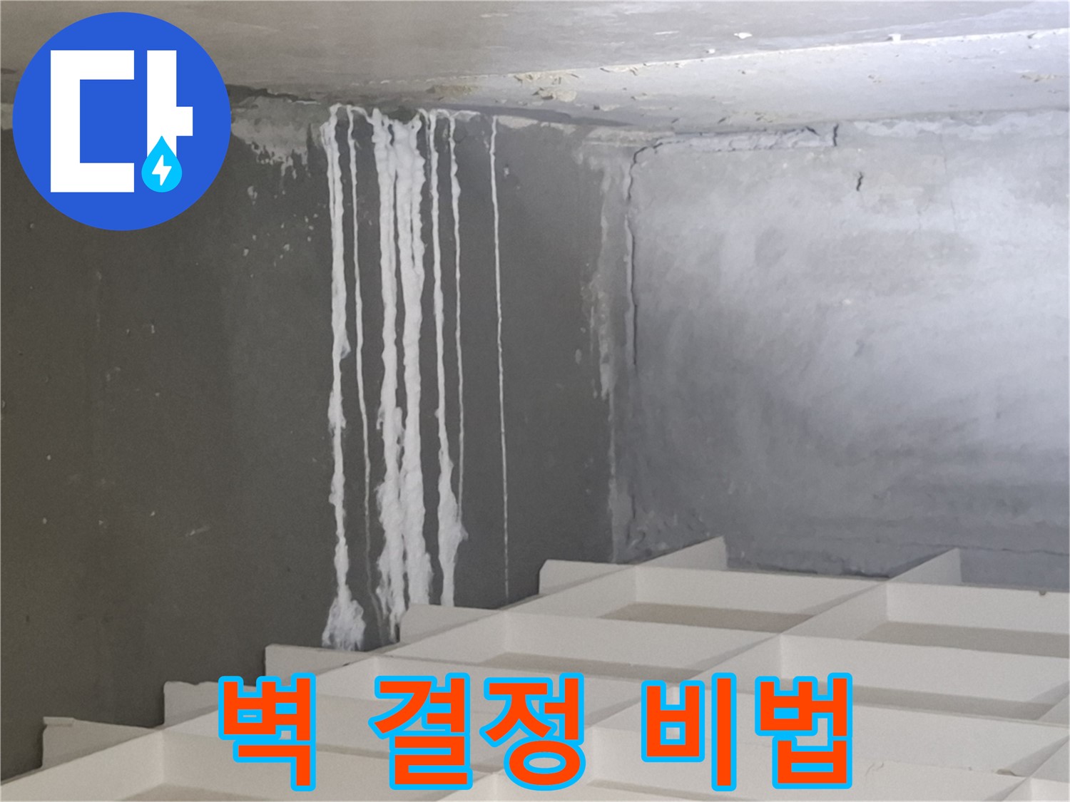 분당 누수 - 삼평동 아파트 벽에 맺힌 하얀 결정을 완벽하게 해결하는 전문 업체의 특별한 노하우