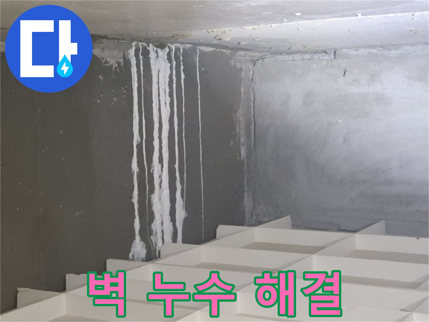 분당 누수 전문가의 삼평동 아파트 누수 해결 - 콘크리트 벽 누수 완벽 진단 및 해결 과정