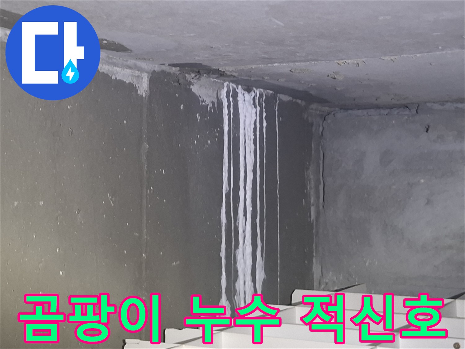 분당 봇들마을 건물 벽 누수 - 곰팡이로 건강 위협