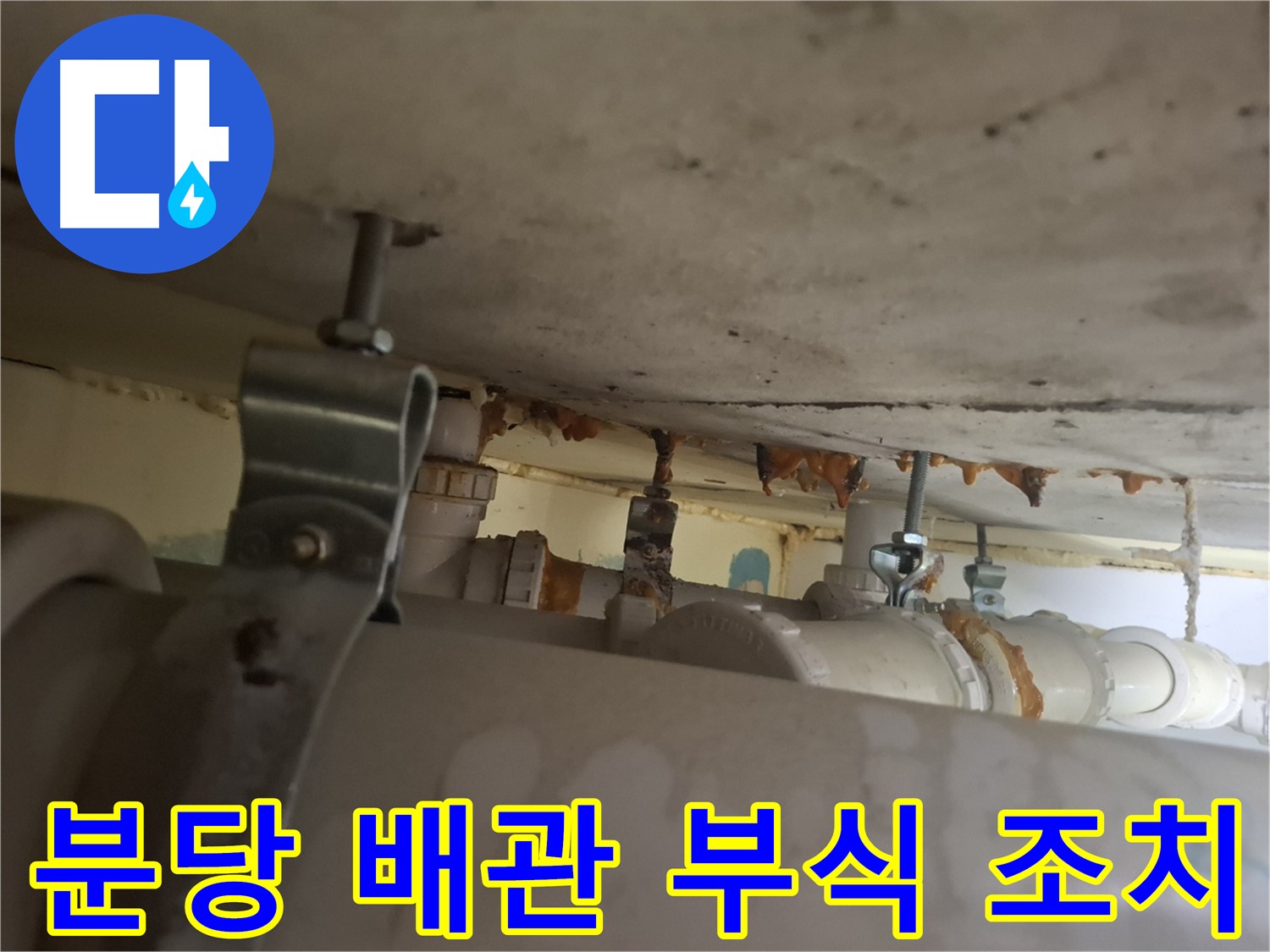 분당 봇들마을 아파트 - 배관 부식 진행, 긴급 조치로 누수 예방