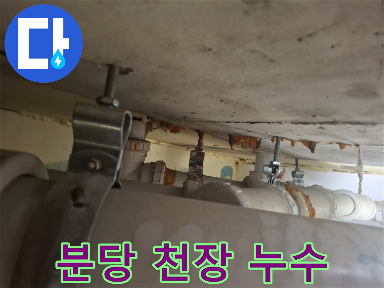 분당 봇들마을 아파트 - 배관 부식으로 인한 천장 누수 발생 - 긴급 보수 필요
