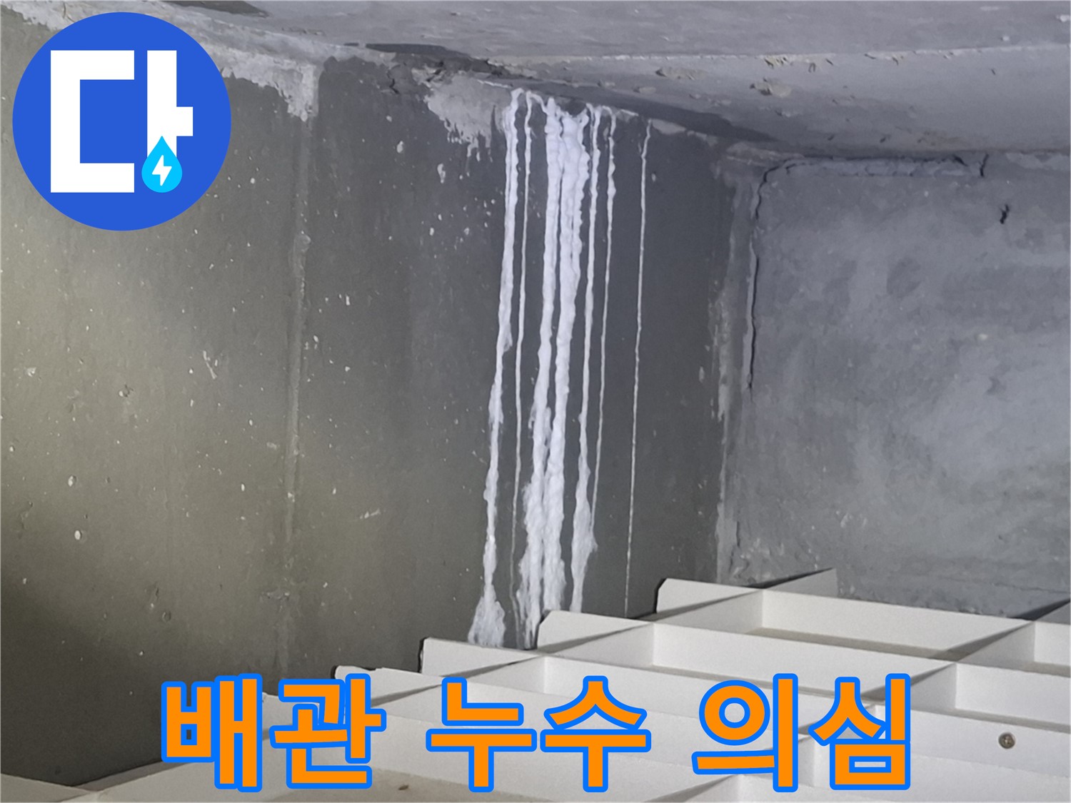분당 봇들마을 아파트 - 지하 석회 누수 원인, 배관 문제일 가능성?