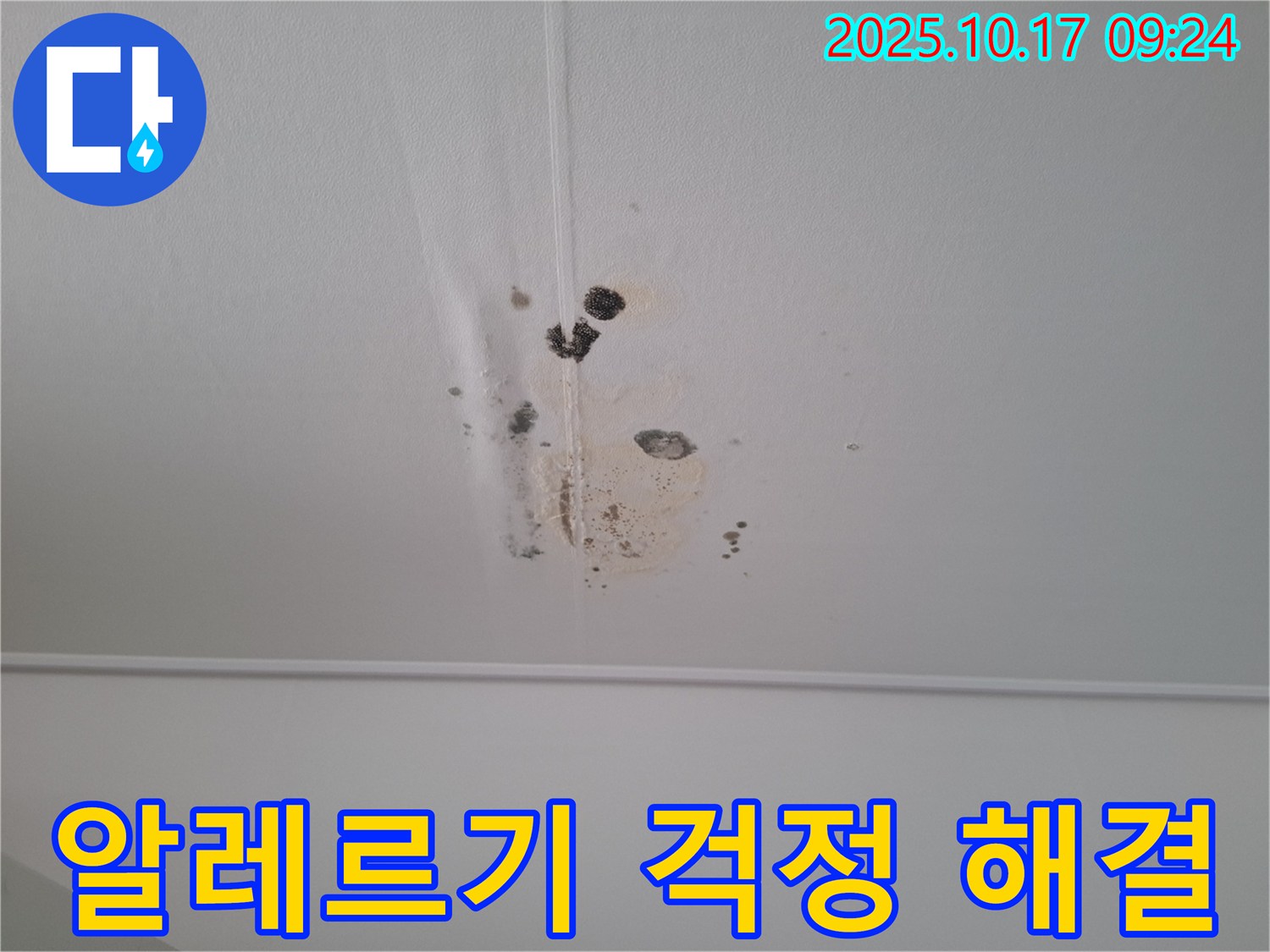 분당 봇들마을2단지 아파트 천장 누수 - 곰팡이 알레르기 걱정 없는 쾌적한 공간