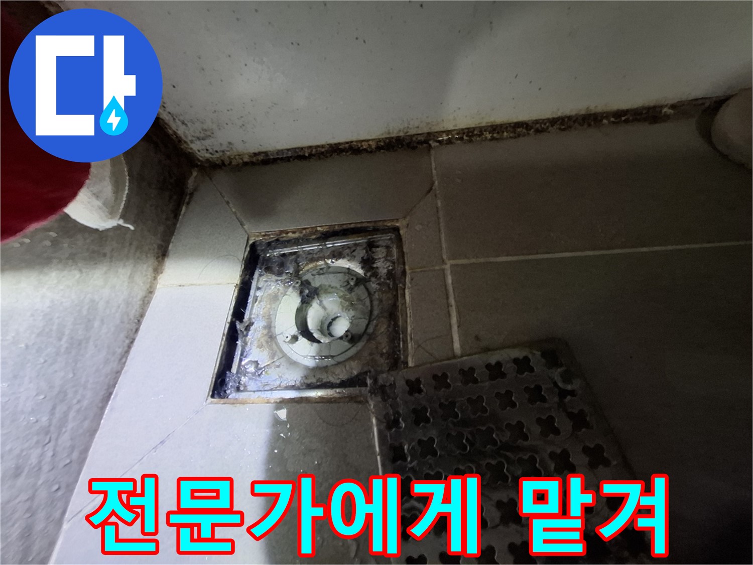 분당 봇들마을2단지 욕실 - 곰팡이는 초기 누수 신호 - 전문가에게 맡기세요
