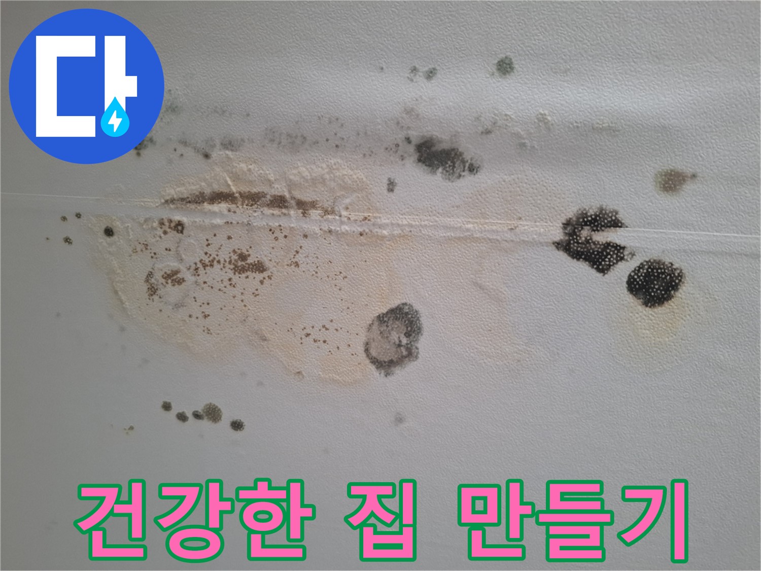 분당 삼평동 누수 - 곰팡이 천장 제거 후 건강한 집 만들기 프로젝트