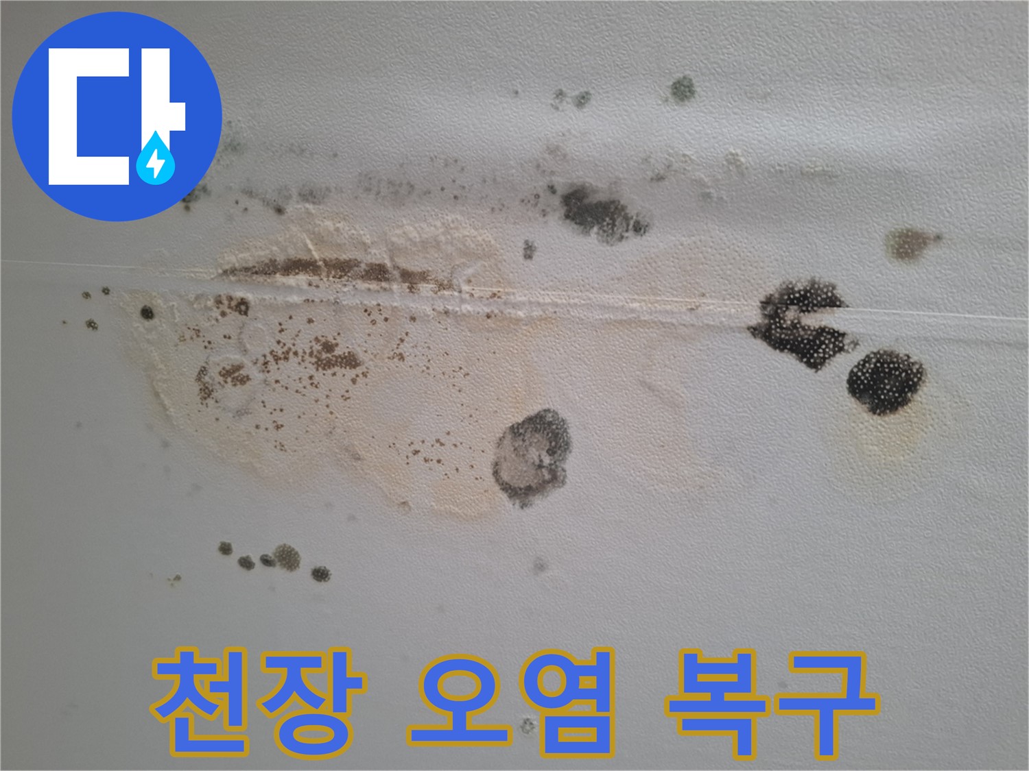 분당 삼평동 누수 - 심각한 천장 오염 긴급 복구 작업