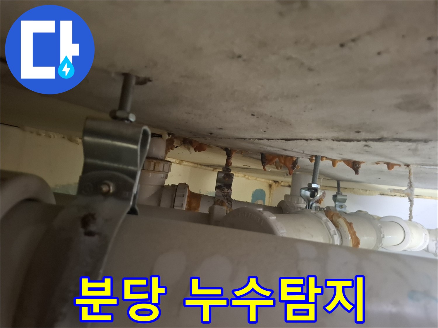 분당 삼평동 봇들마을 아파트 누수 해결 - 확실한 누수탐지로 문제 해결!