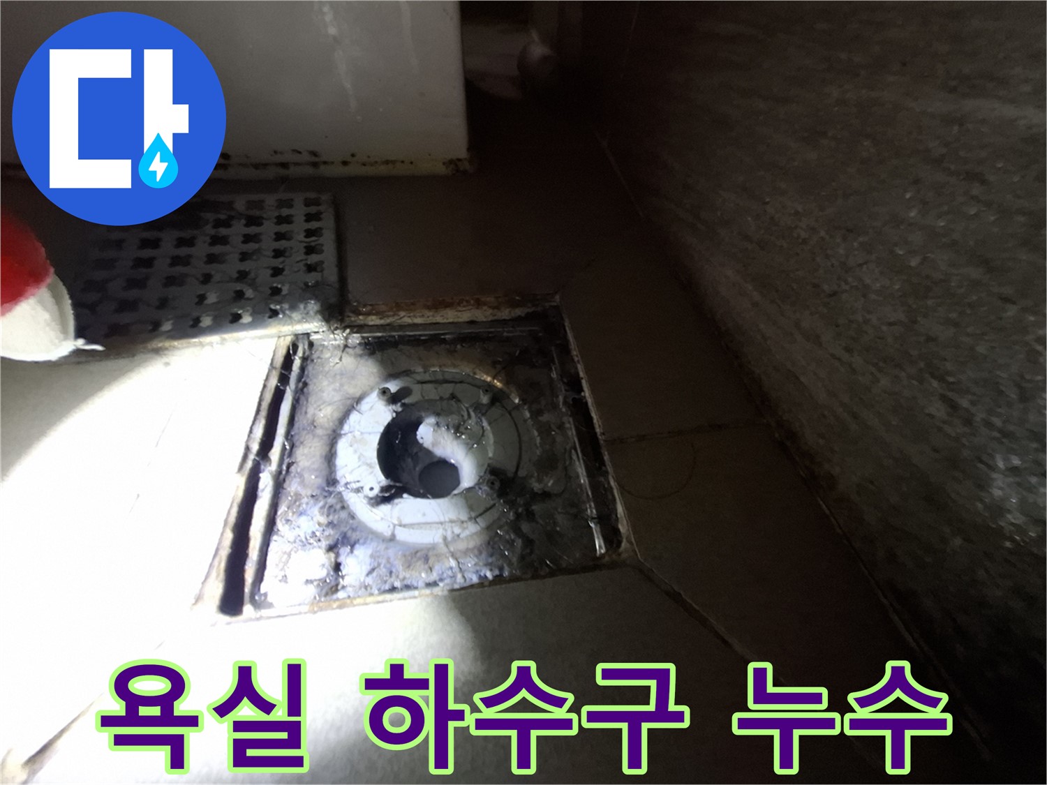 분당 삼평동 봇들마을 욕실 하수구 주변 누수 - 정확한 진단으로 문제 해결