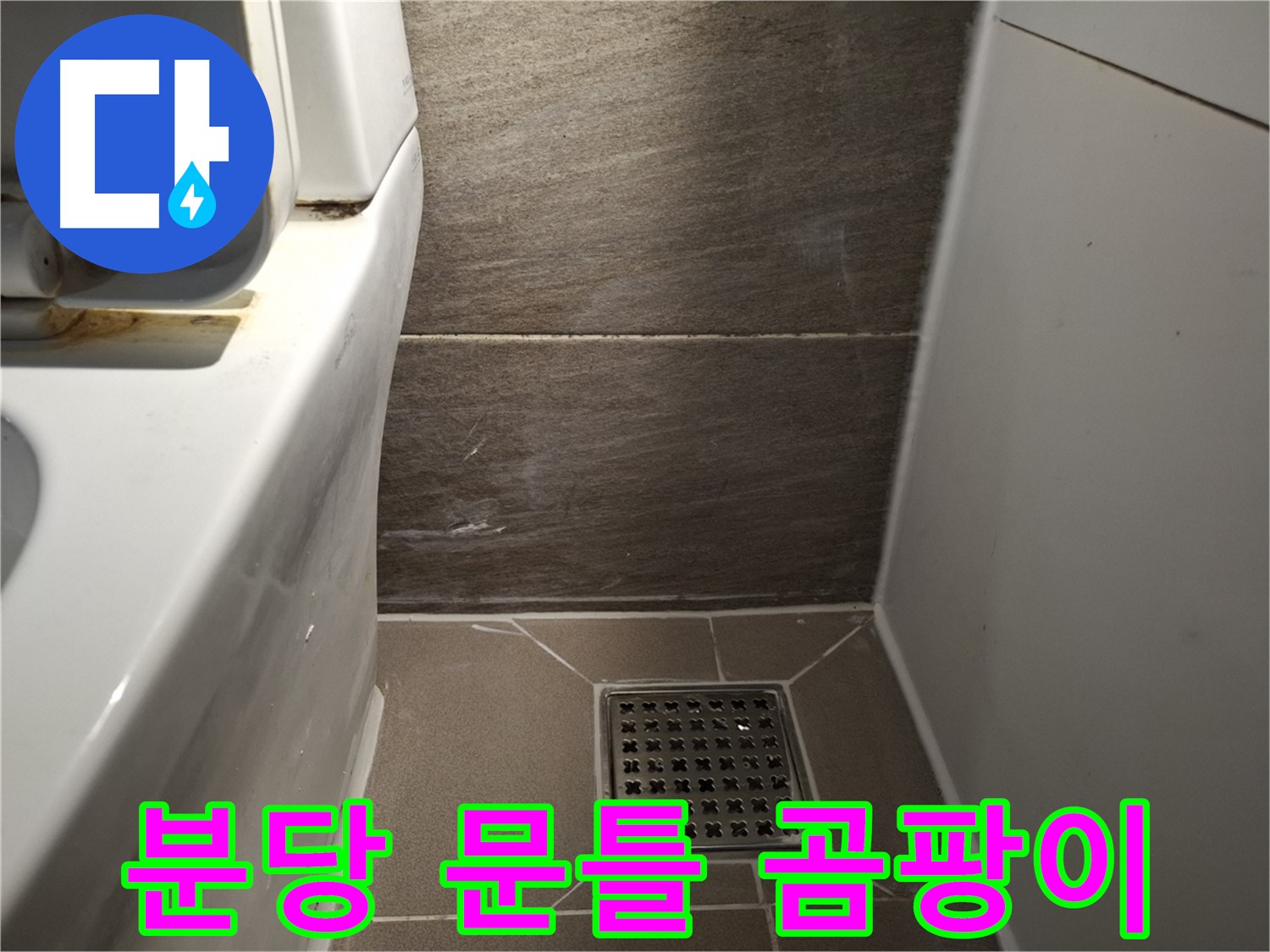 분당 화장실 문틀 곰팡이 - 누수 때문?