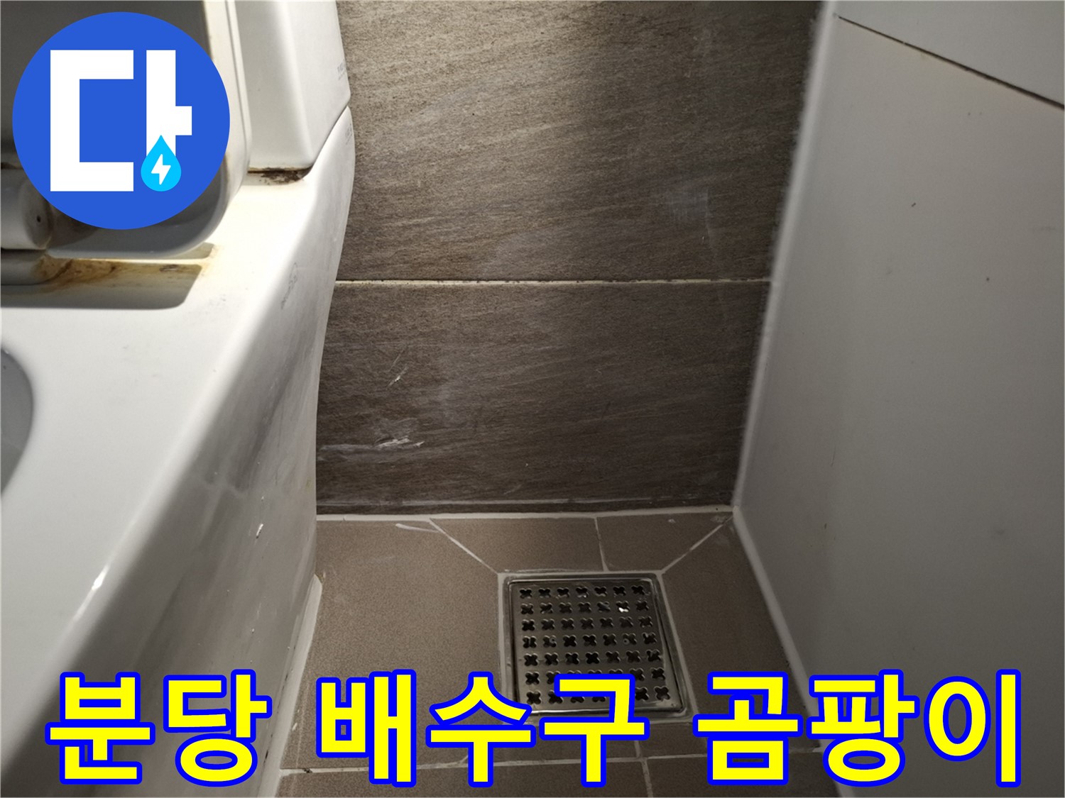 분당 화장실 배수구 주변 곰팡이 - 물고임 - 누수 의심