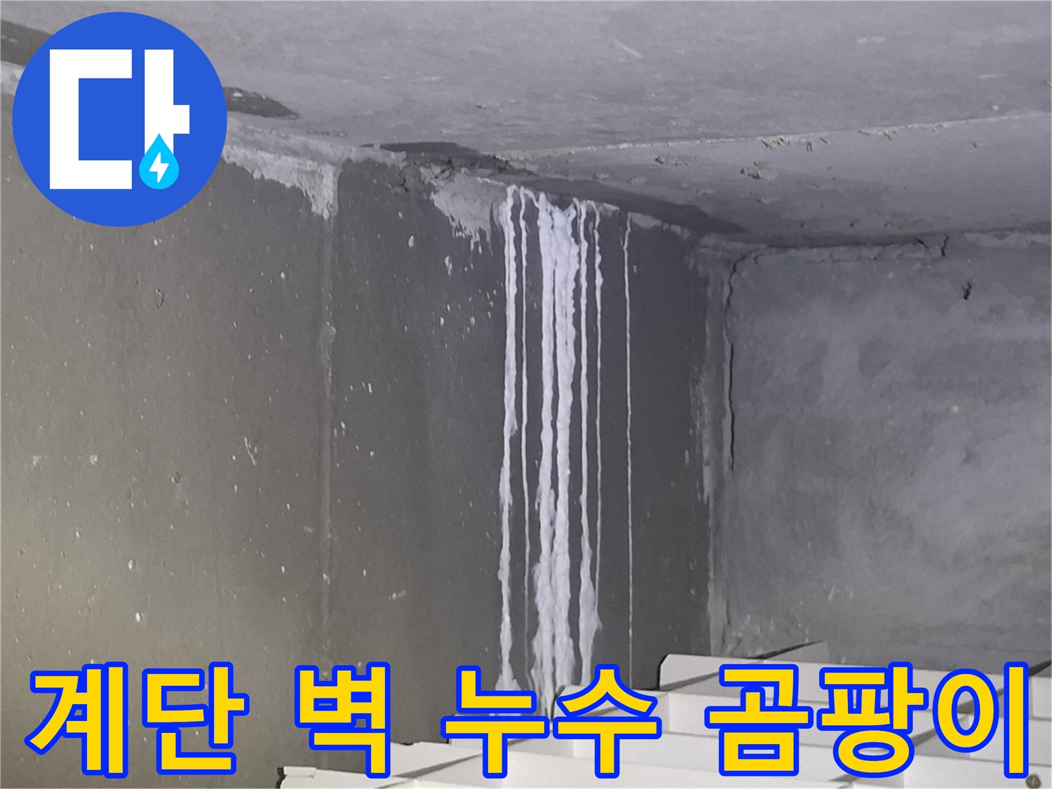 분당구 봇들마을 계단 벽 누수 - 곰팡이 발생 가능성 높음