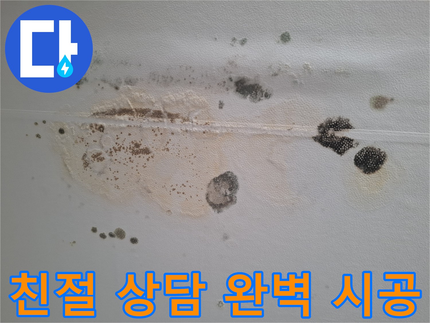 분당구 삼평동 누수 - 곰팡이 핀 천장, 친절한 상담, 완벽한 시공, 확실한 책임으로 보답하겠습니다