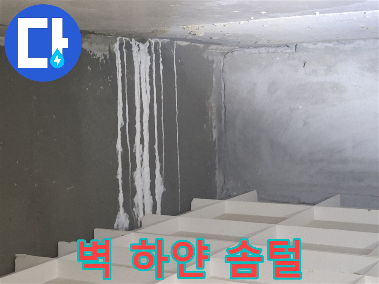 삼평동 누수 - 벽에 맺힌 하얀 솜털, 누수와 관련된 석회 성분일 가능성 진단