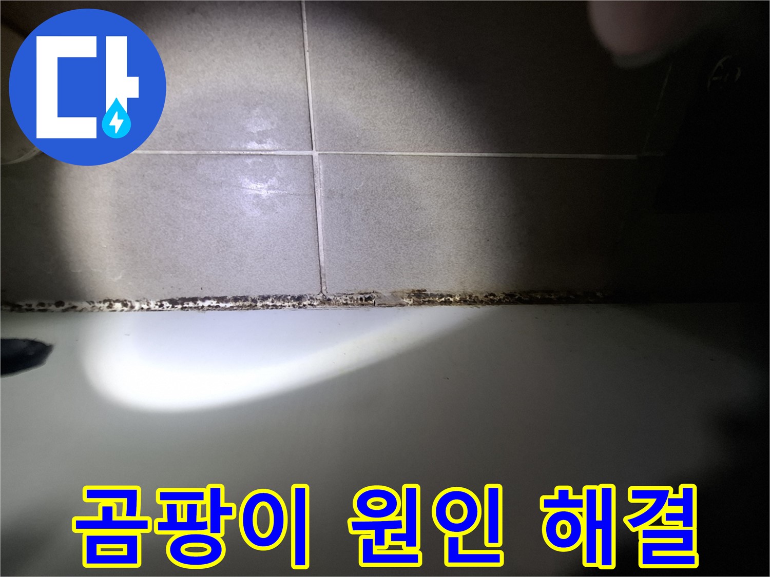 욕조 곰팡이 - 곰팡이 원인 분석 후 맞춤 해결책 제시