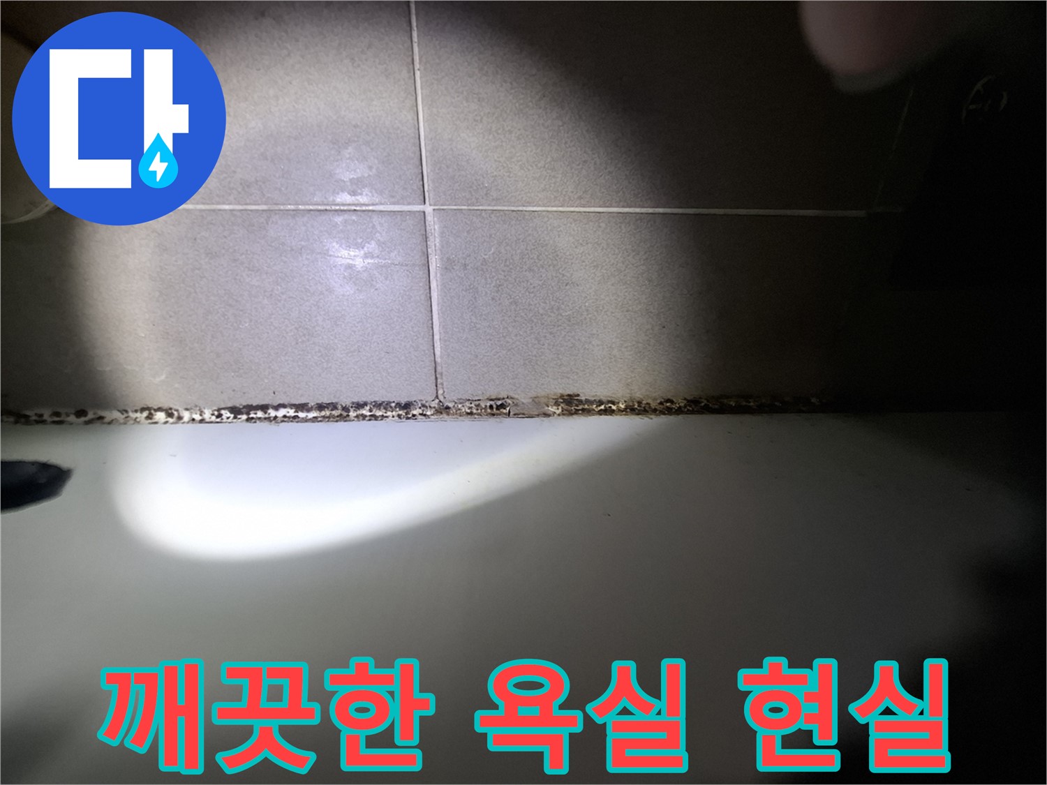 삼평동 욕조 곰팡이 제거 - 곰팡이 없는 깨끗한 욕실을 만들어 드립니다