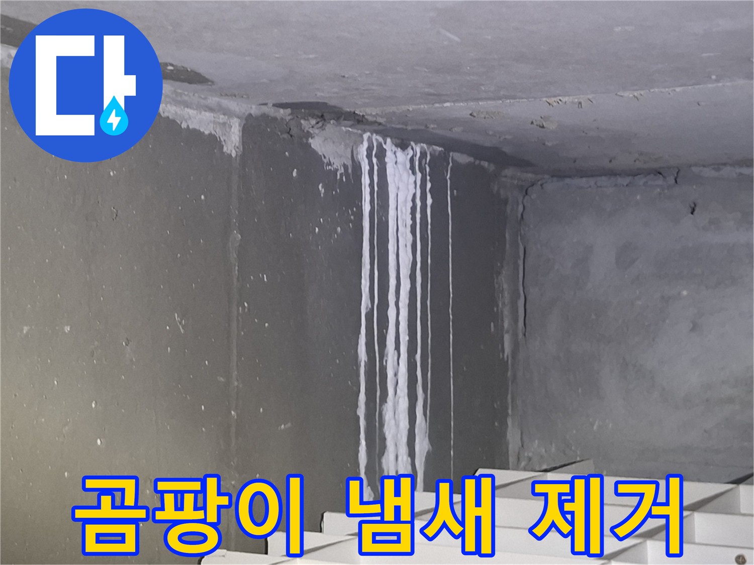 성남 누수 공사 후 - 곰팡이 냄새 제거! 쾌적한 환경으로!