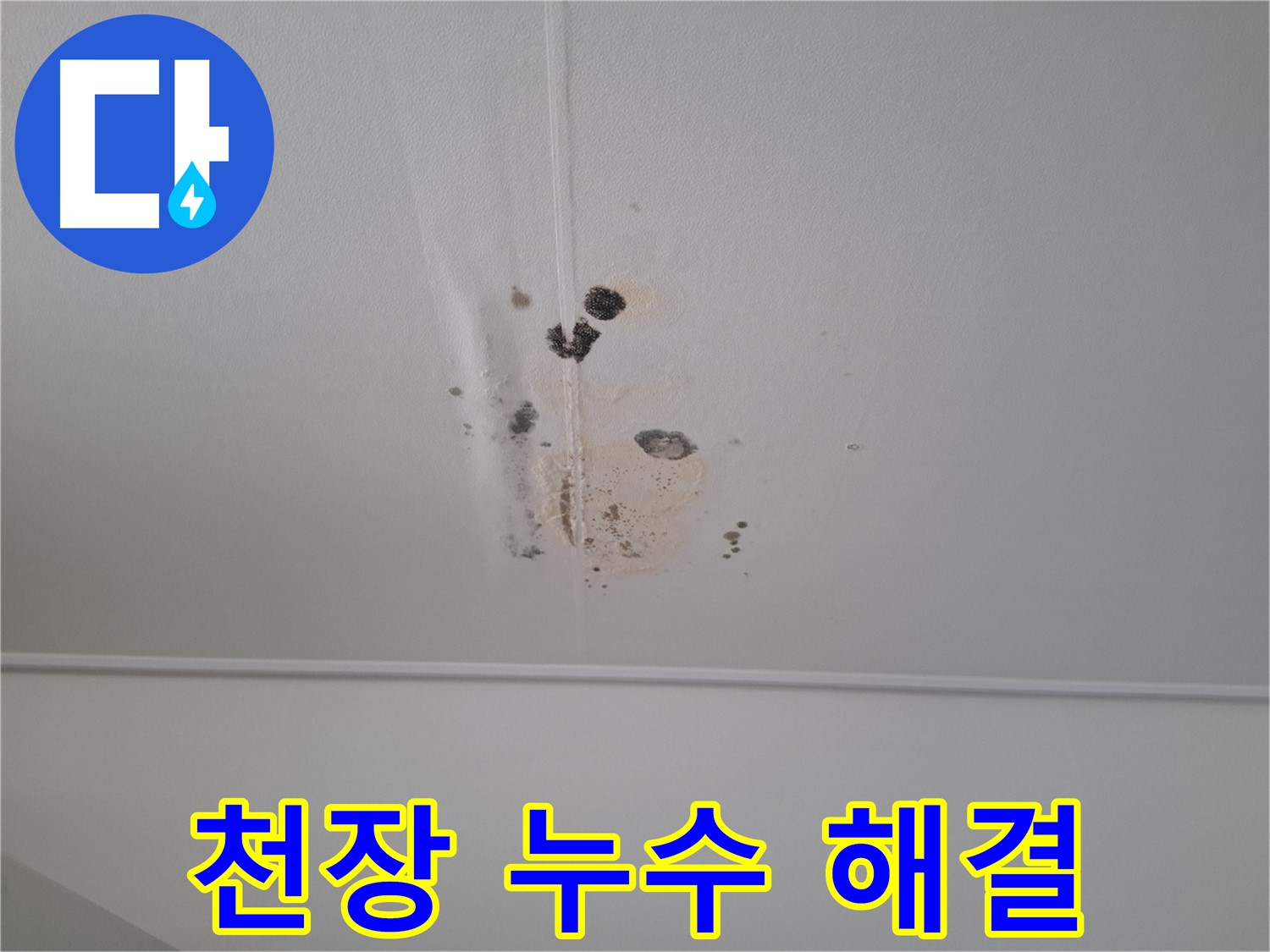 성남 봇들마을 아파트 천장 누수 해결 후 깨끗해진 모습 - 누수 흔적과 곰팡이가 완전히 제거되었습니다.