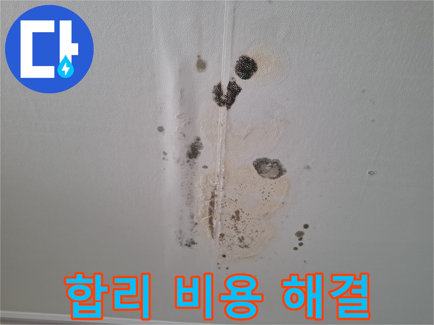 성남 분당 봇들마을 누수 - 합리적인 비용으로 누수 해결