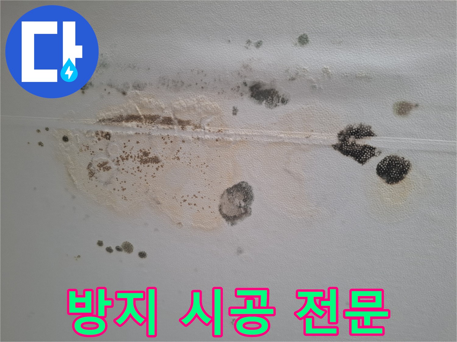 성남 분당구 누수 - 곰팡이와 누수 자국 방지 시공 전문