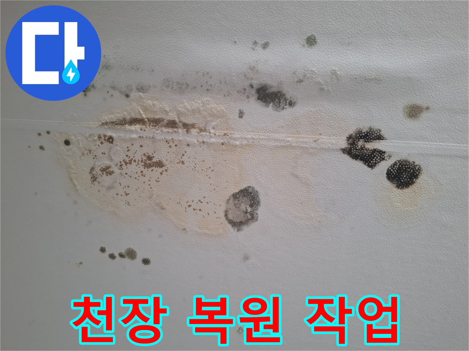 성남 분당구 누수 - 곰팡이와 얼룩으로 뒤덮인 천장 완벽 복원