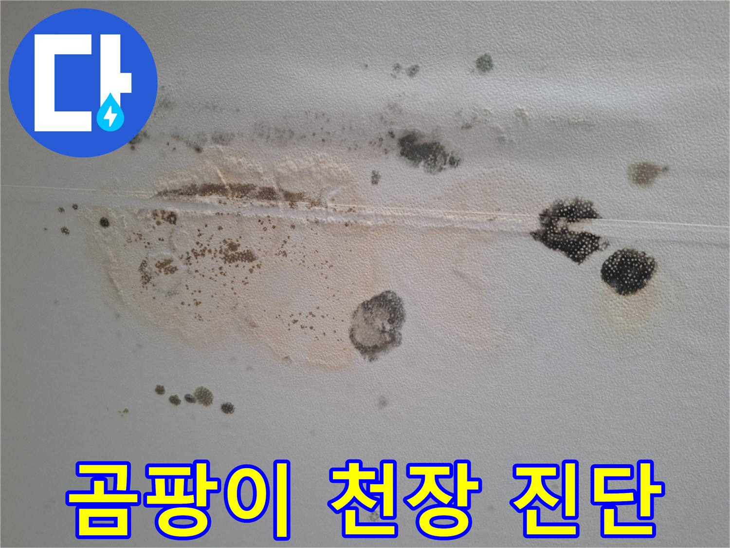 성남시 분당구 삼평동 누수 - 곰팡이 핀 천장, 긴급 진단으로 문제 해결