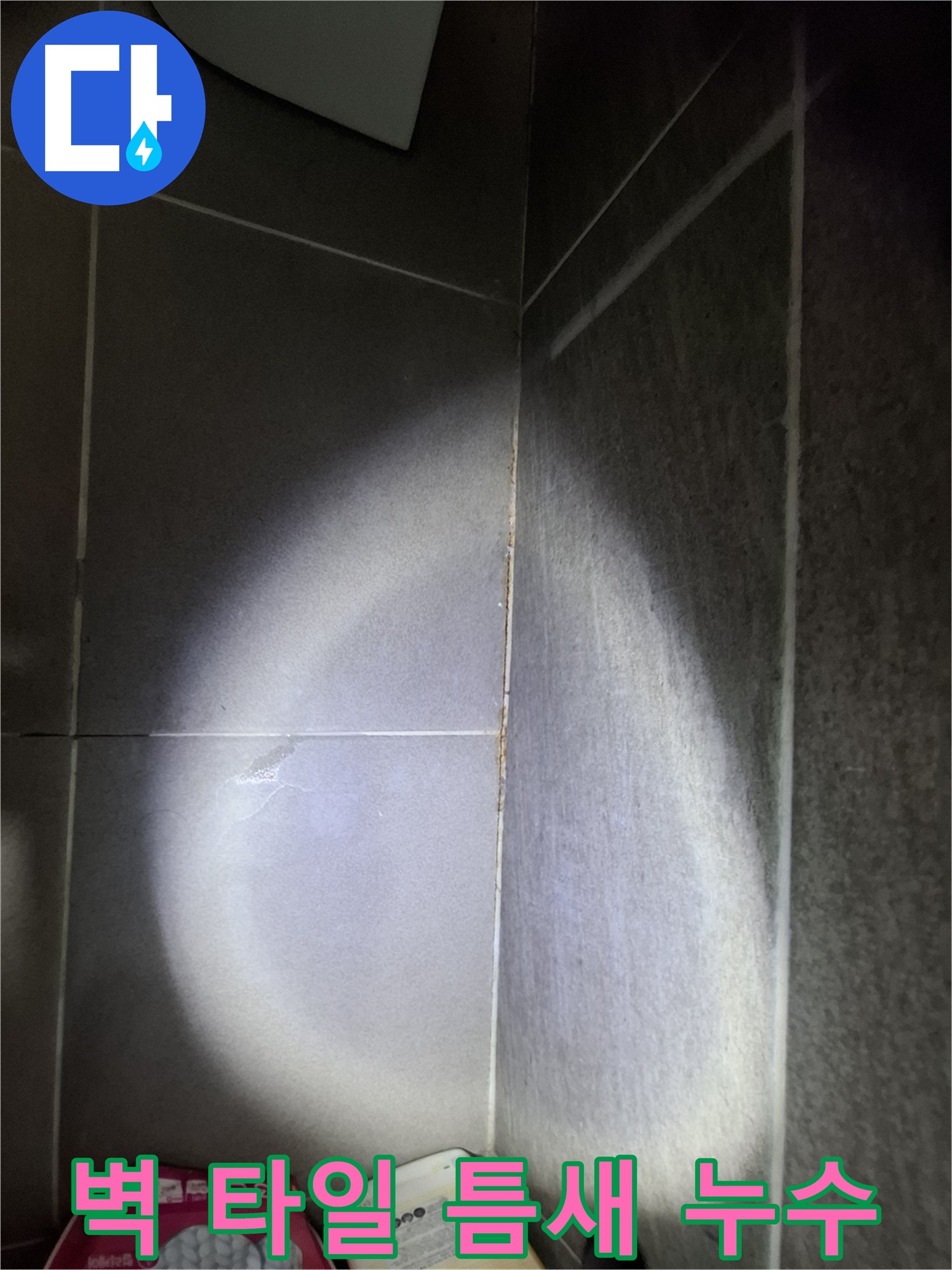 성남시 분당구 삼평동 봇들마을 욕실 벽 타일 틈새 누수 - 정밀 진단으로 문제 해결