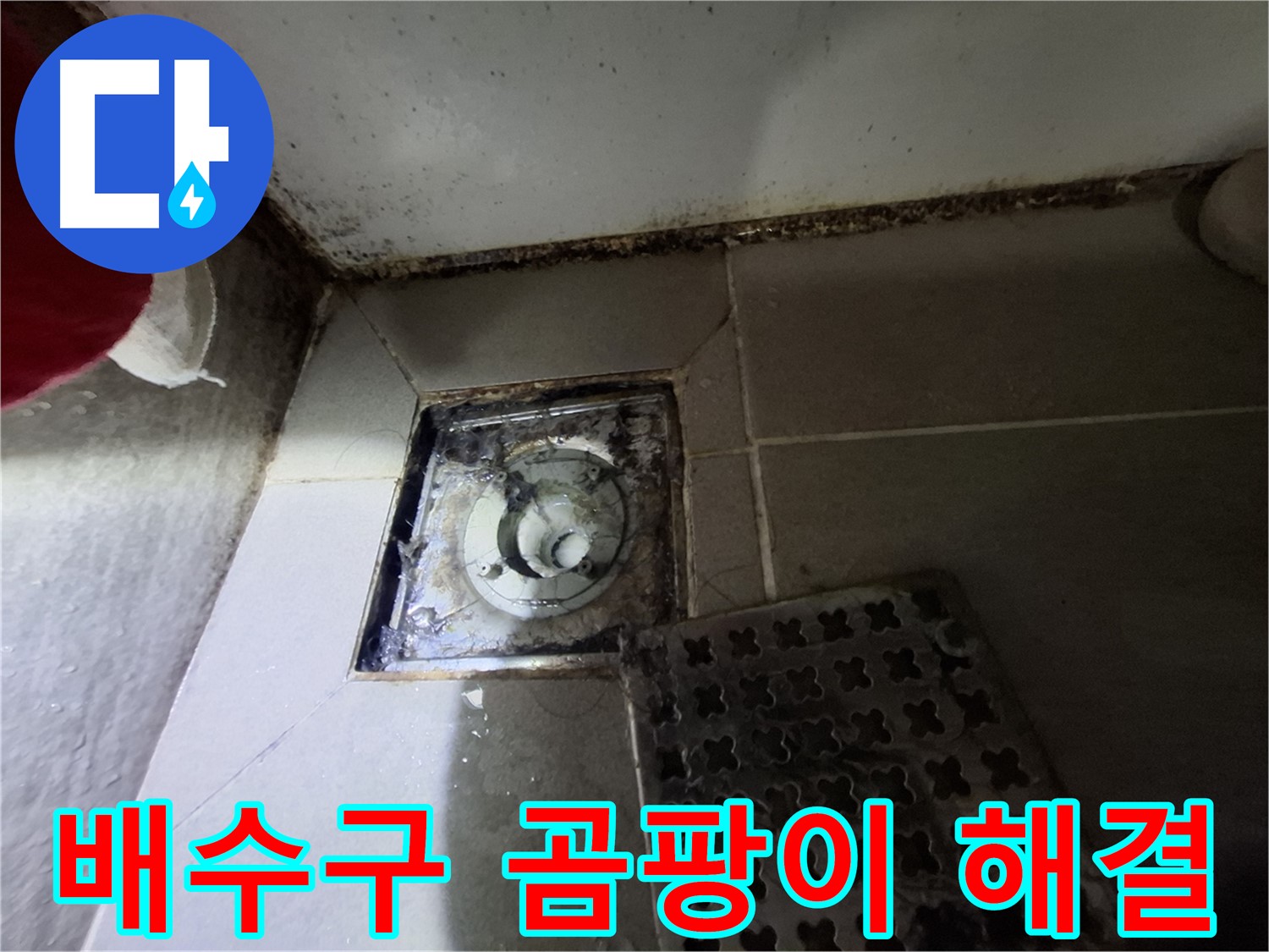 성남시 분당구 삼평동 봇들마을2단지 욕실 - 곰팡이 문제 해결
