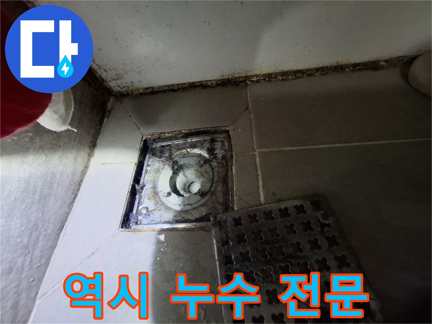 성남시 분당구 삼평동 봇들마을2단지 욕실 - 역시 누수 전문