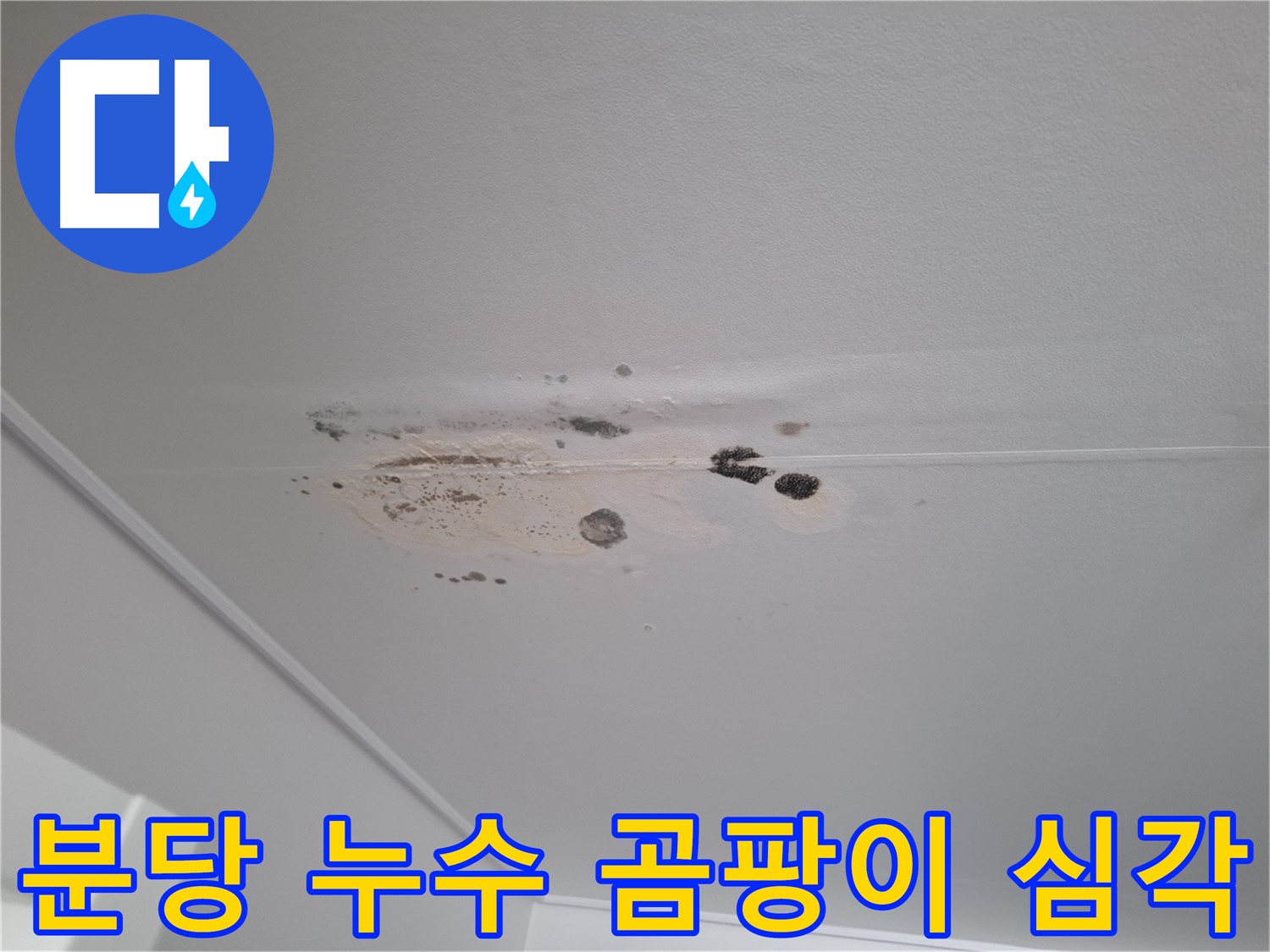 심각한 천장 누수 - 곰팡이 폭탄 직전, 건강 위협