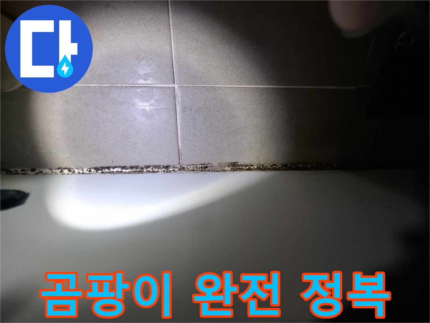 욕조 곰팡이 - 곰팡이 완전 정복을 위한 맞춤 솔루션
