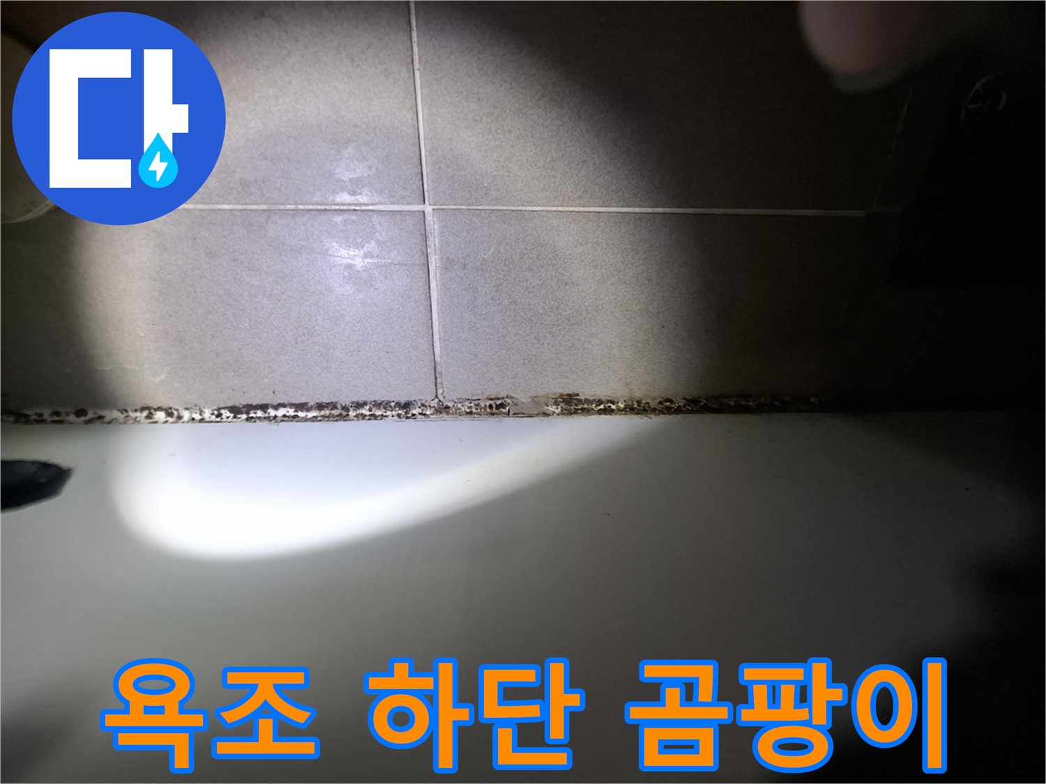 욕조 하단 실리콘 곰팡이 - 심각한 상태, 긴급 점검 필요