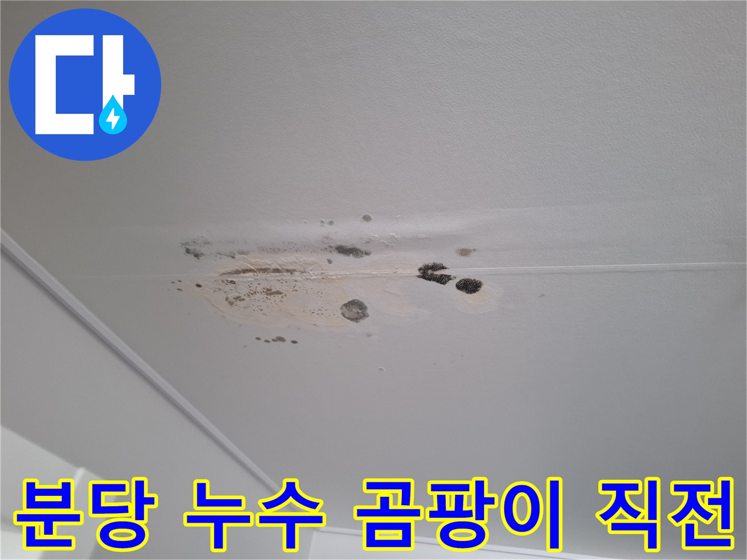 천장 누수 흔적 - 곰팡이 발생 직전, 초기 대응 중요