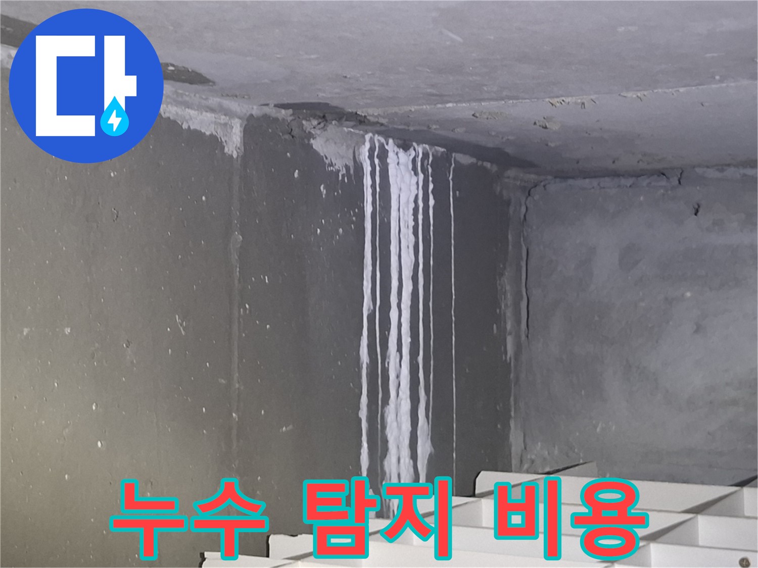 판교 건물 누수 - 누수 탐지 비용 문의 환영