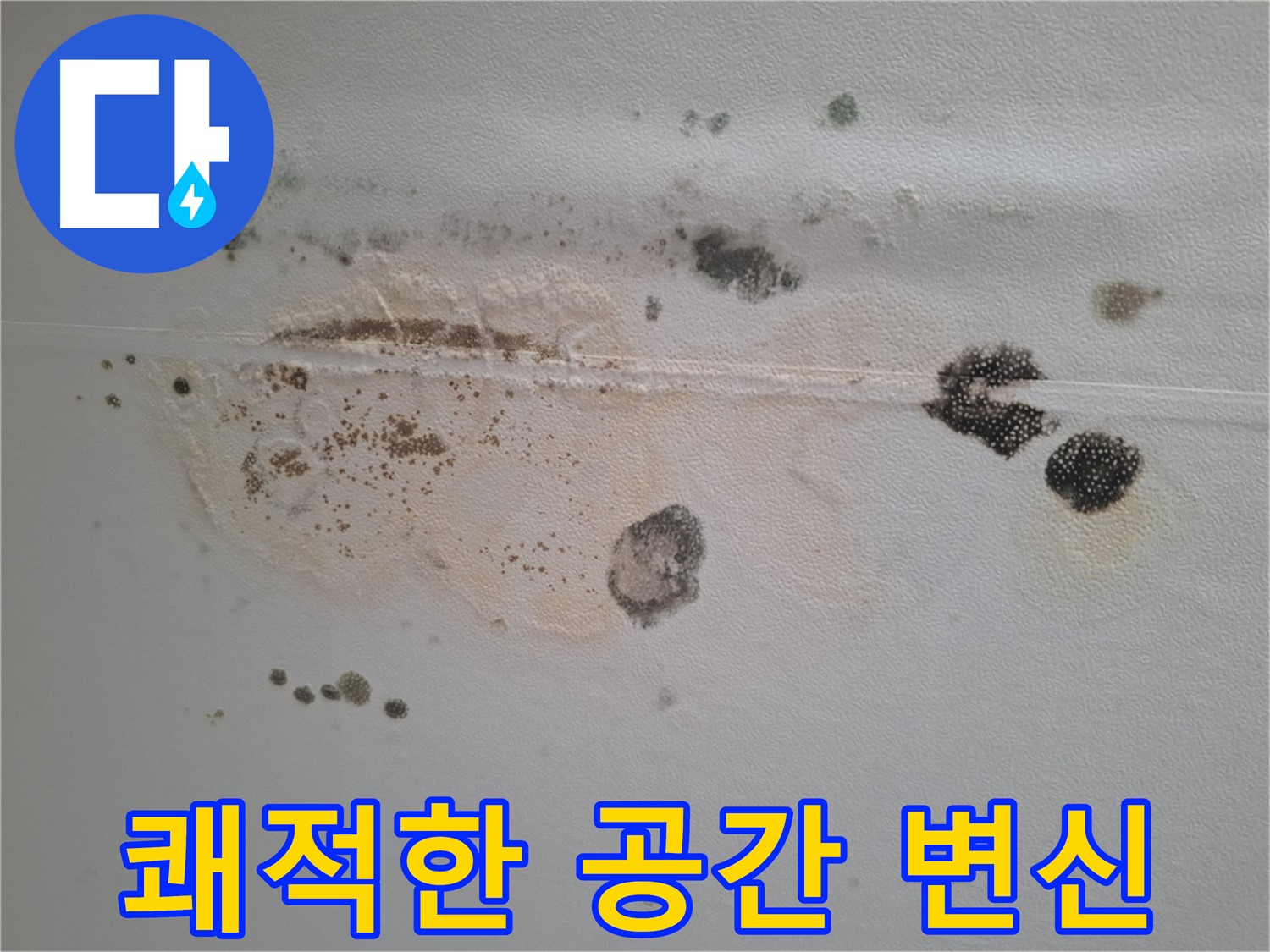 판교 누수 - 곰팡이 제거 후 쾌적한 공간으로 변신