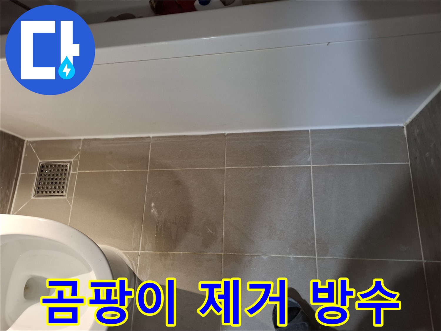 타일 틈새 곰팡이 제거 및 방수 시급 - 건강 위협