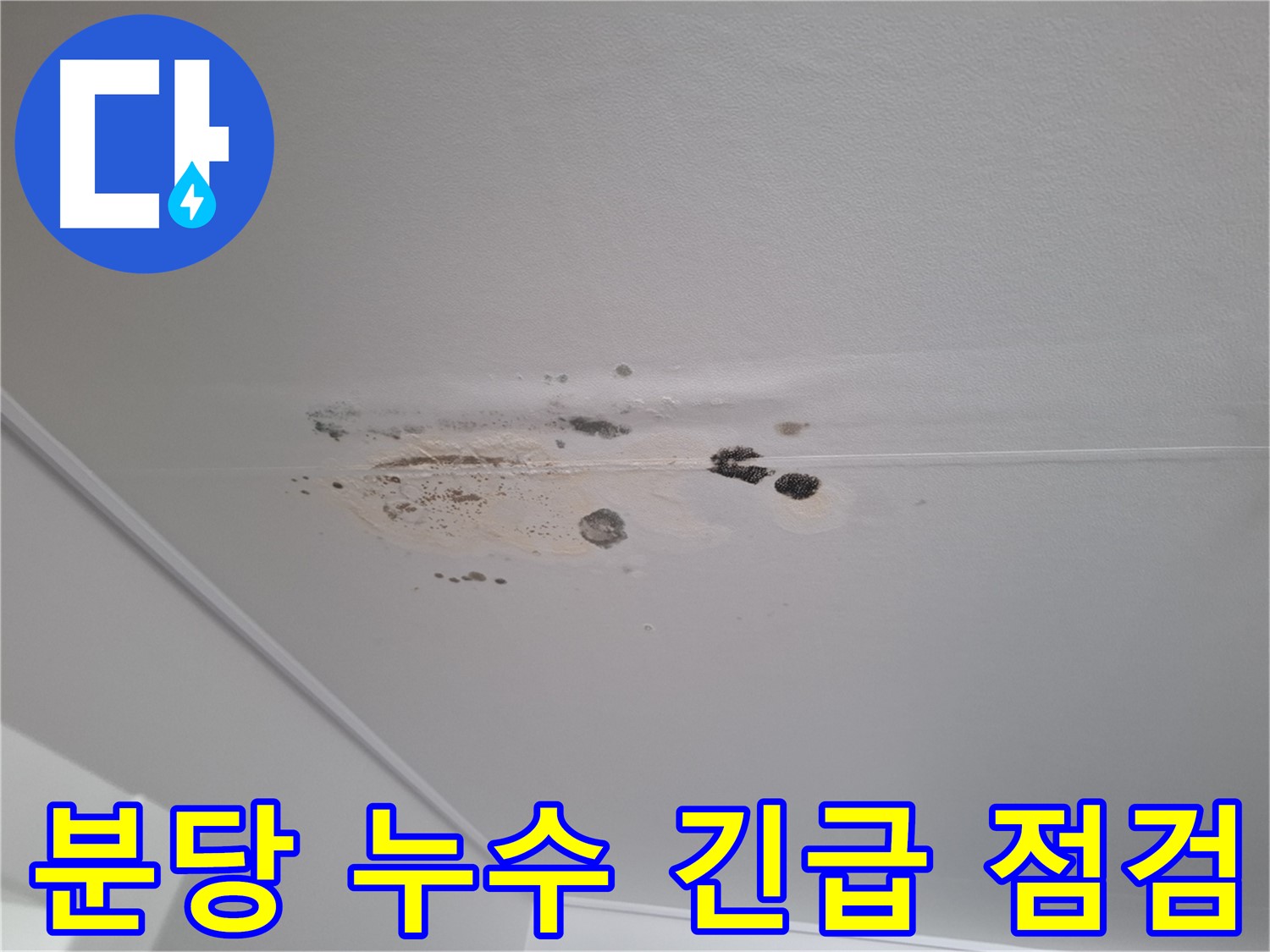 누수 곰팡이 초기 - 긴급 점검으로 확산 방지