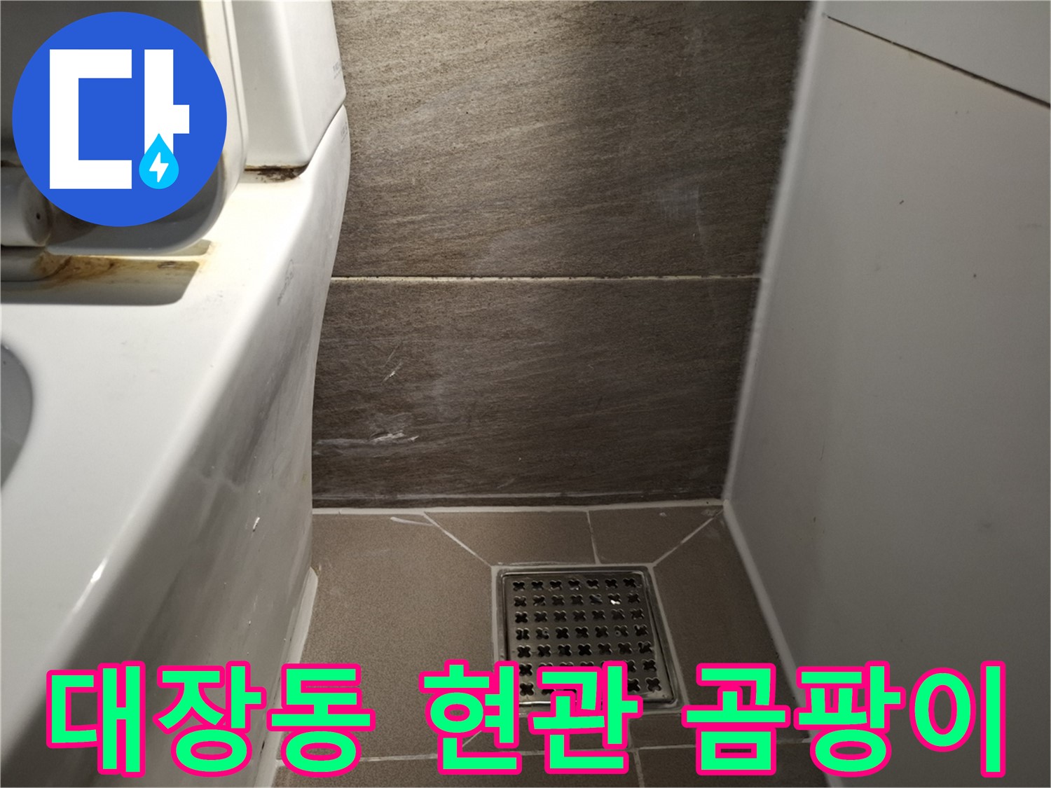 판교 대장동 현관문 주변 벽 곰팡이 - 빗물 누수 의심
