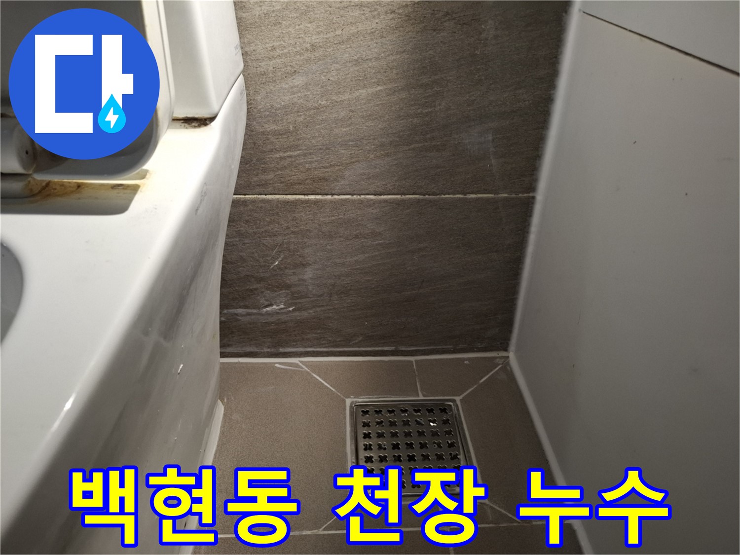 판교 백현동 천장 누수 - 윗집 문제 - 빠른 점검