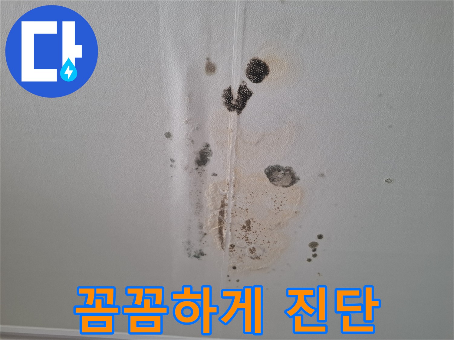 판교 봇들마을 아파트 누수 - 천장 누수, 꼼꼼하게 진단