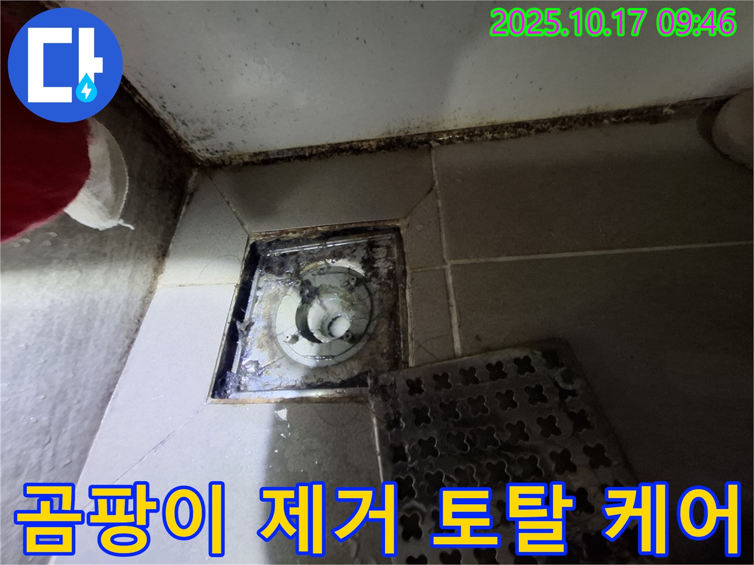 판교 봇들마을 아파트 욕실 배수구 곰팡이 제거 - 누수 방지 토탈 케어 - 쾌적한 욕실 환경을 위한 최고의 선택.