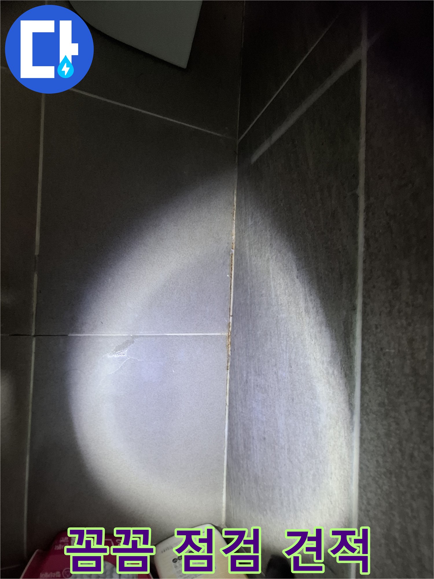 판교 봇들마을 욕실 타일 틈새 누수 - 꼼꼼한 점검, 합리적인 가격 제시