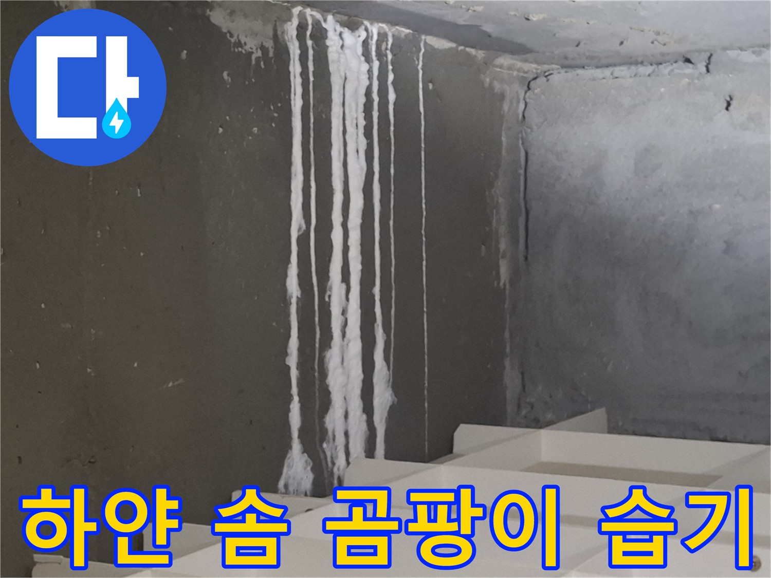 판교 삼평동 봇들마을 아파트 - 계단 '하얀 솜' 누수, 곰팡이와 습기 문제를 유발할 수 있습니다.