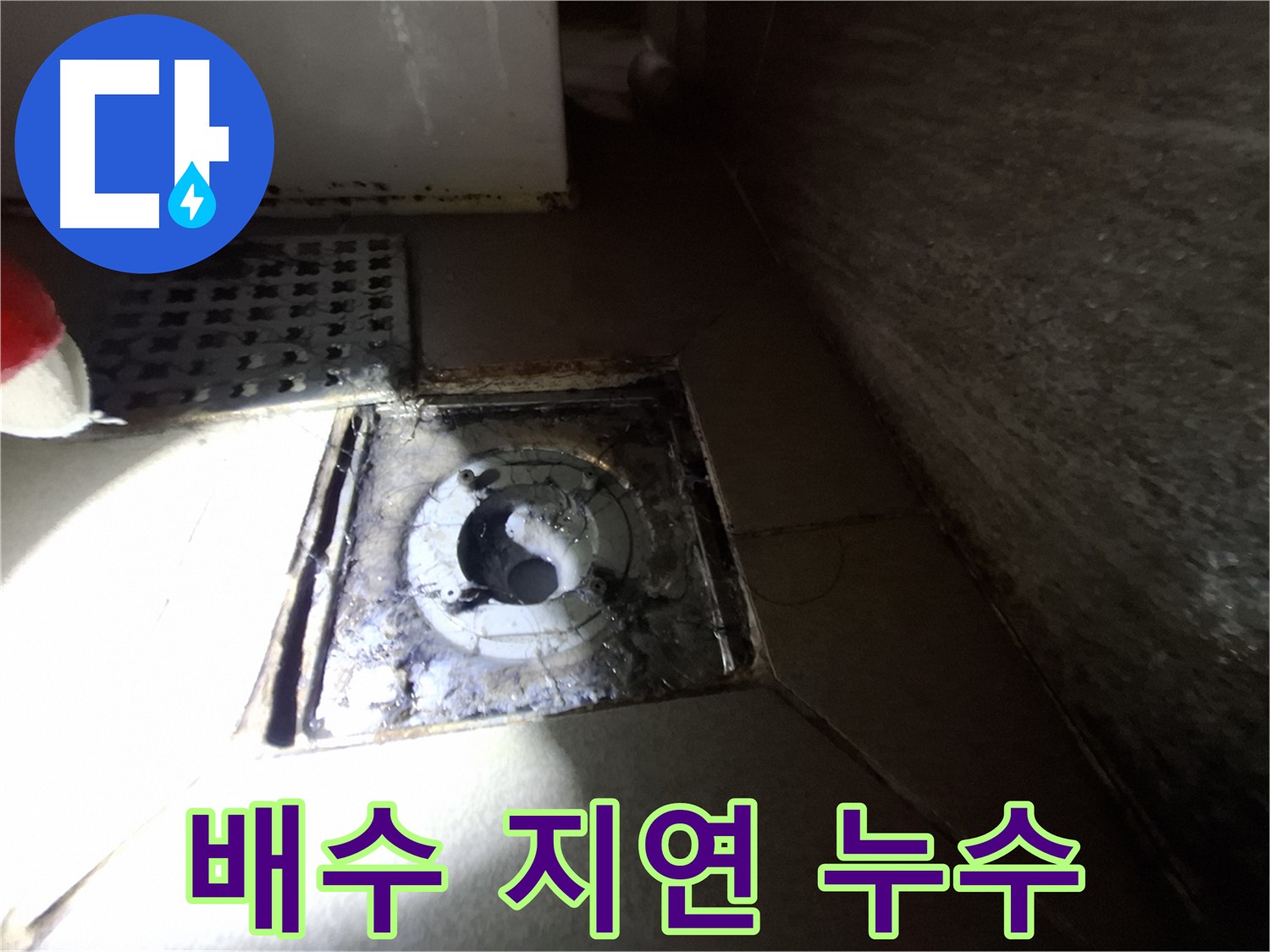 판교 삼평동 봇들마을 욕실 배수 지연 - 누수 가능성 진단, 원인을 찾아 해결