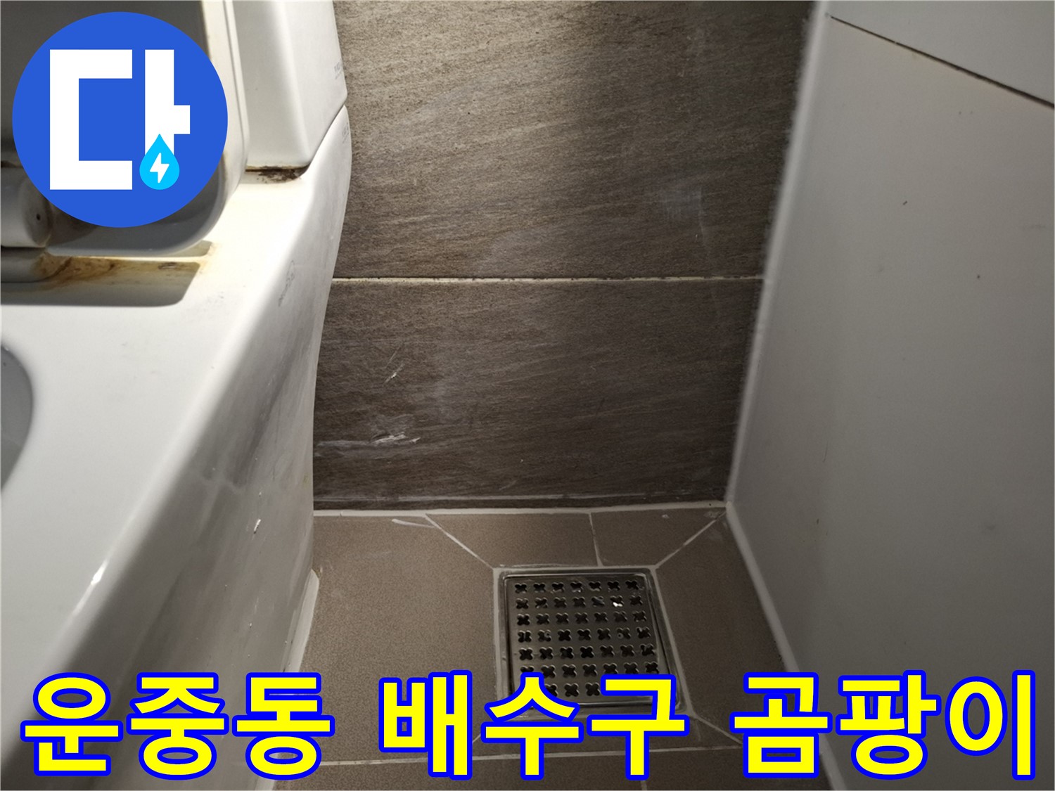판교 운중동 화장실 배수구 곰팡이 - 청소해도 계속?
