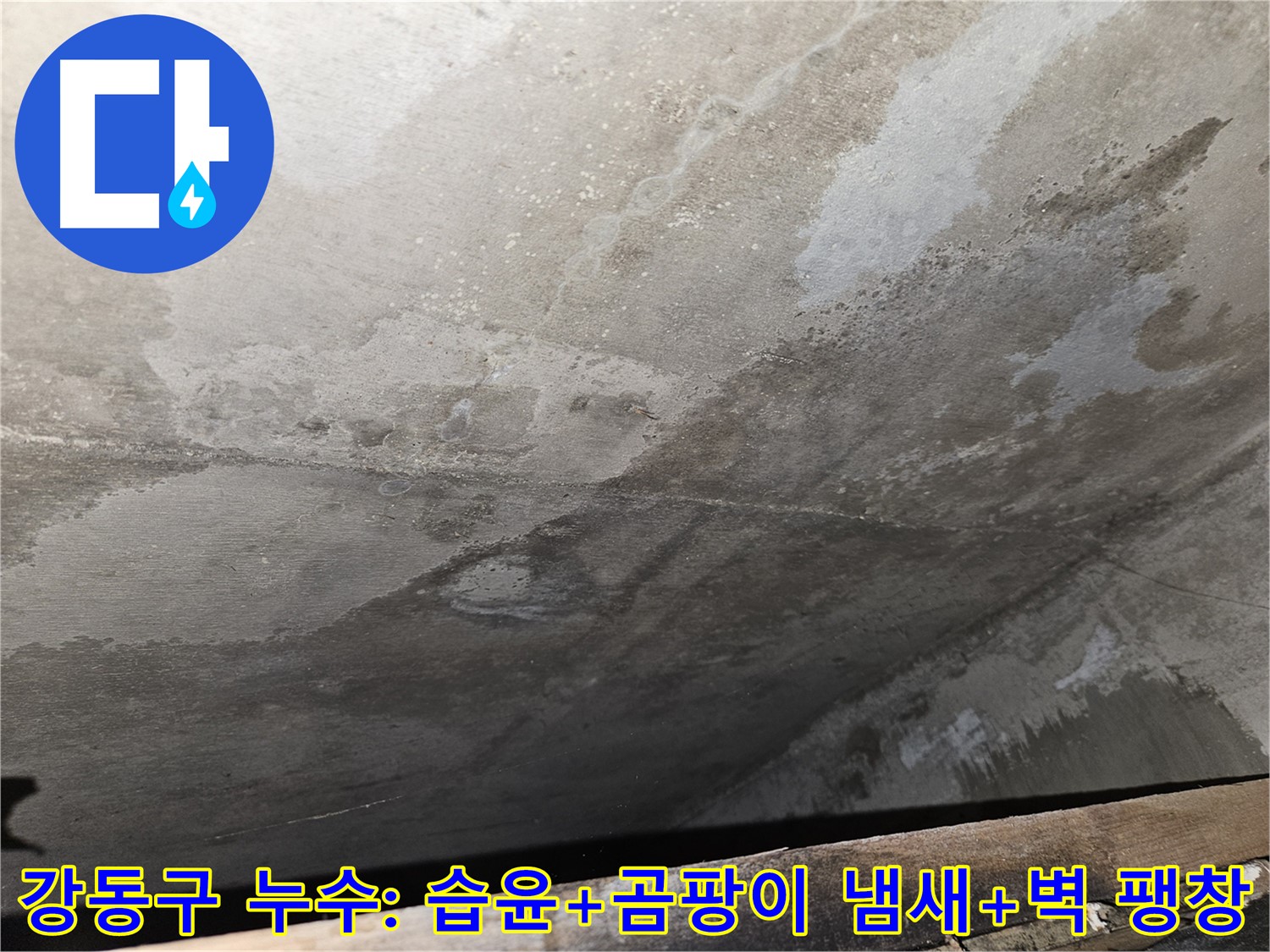 강동구 아파트 콘크리트 누수 - 습윤, 냄새, 벽 팽창은 누수 진행