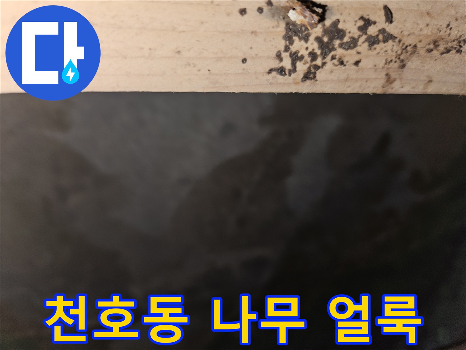 강동구 천호동 누수 - 나무 끝 얼룩 - 곰팡이