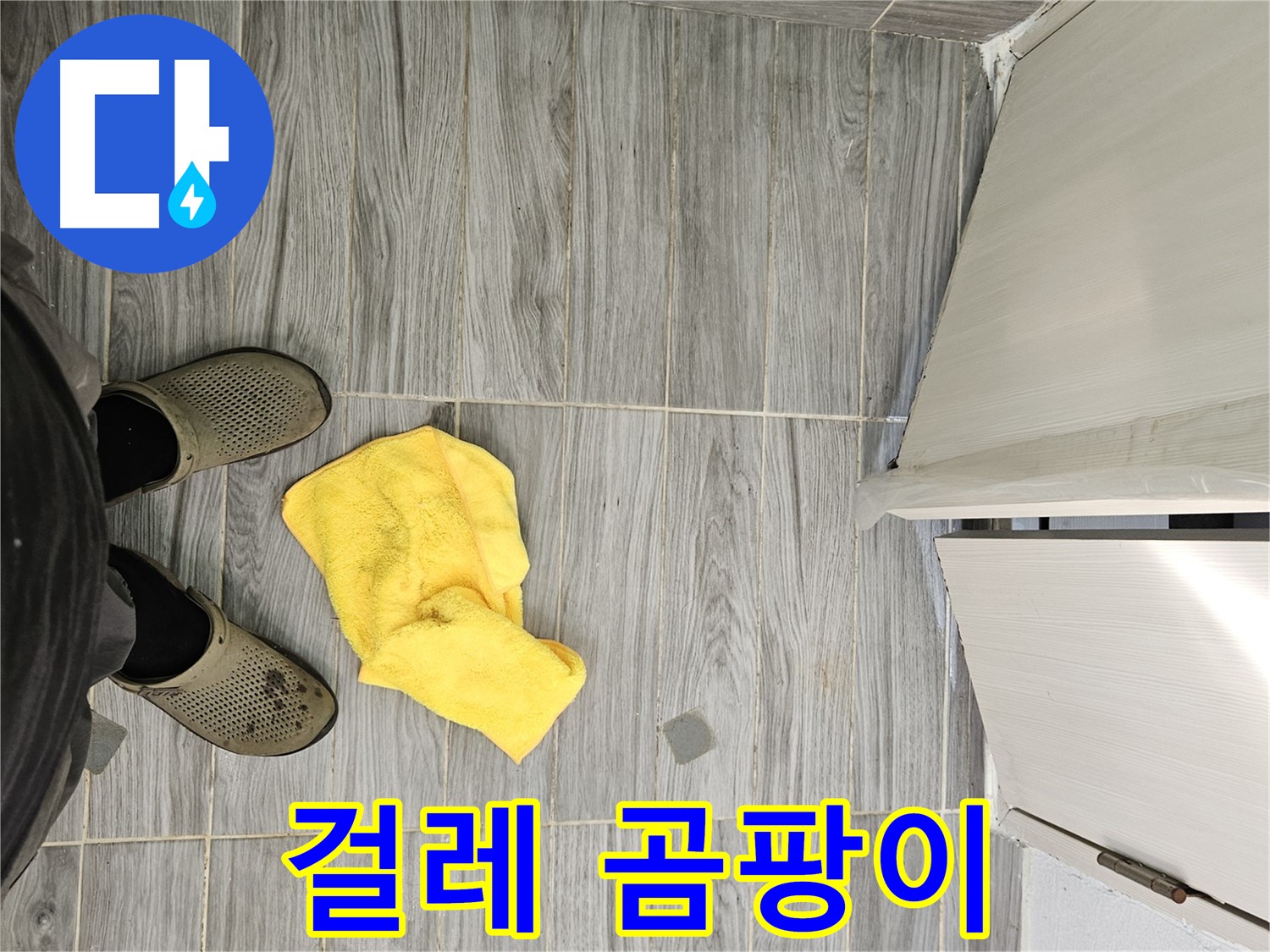 젖은 걸레와 곰팡이 냄새 - 누수 가능성이 매우 높습니다.
