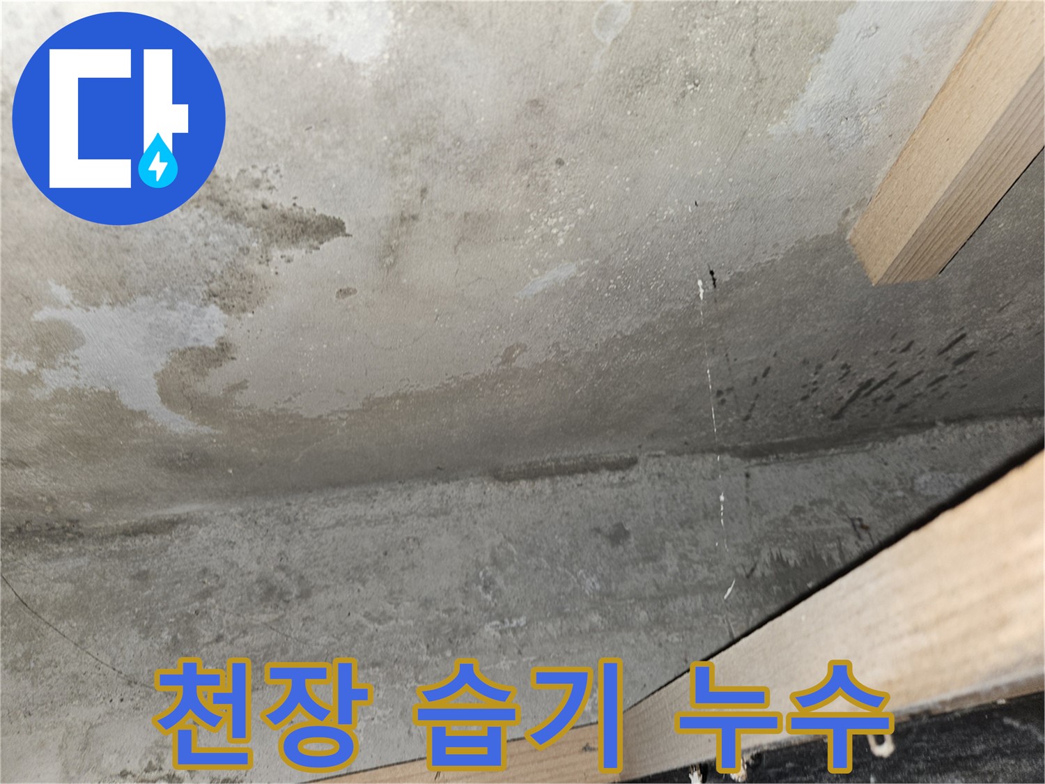천장 습기 - 누수 초기 증상으로 콘크리트 천장에 습기가 보이는 상태